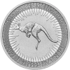 Nugget 1oz Platinium