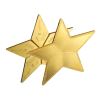 Combibar 5g Gold