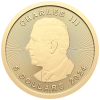 maple-leaf-110oz-charlesiii-revers.png