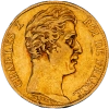 Pièce de monnaie Charles X-20 Francs 1828 Paris