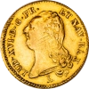 Pièce de monnaie : Louis XVI-Double louis d'or aux écus accolés 1786 Nantes